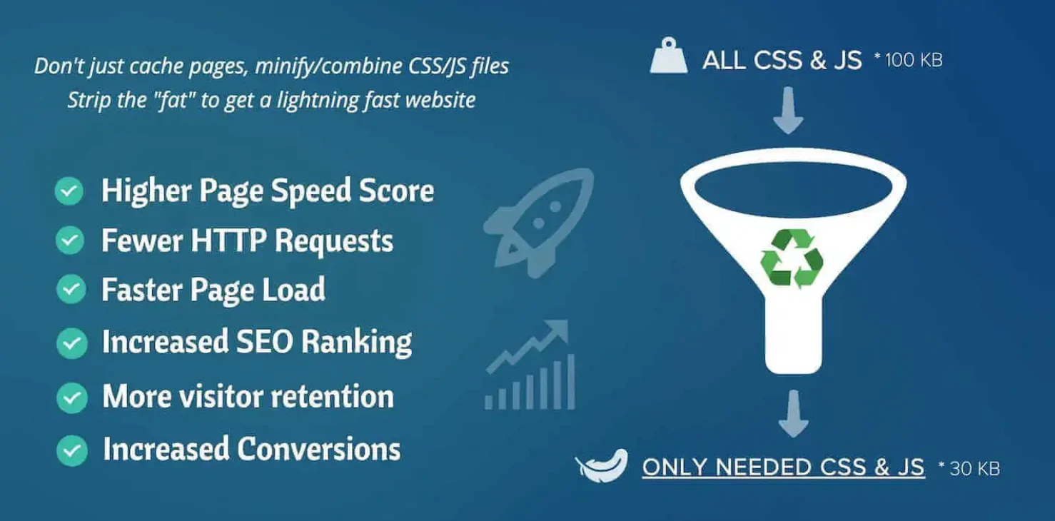 Asset CleanUp Pro: Boosting Your WordPress Site’s Speed